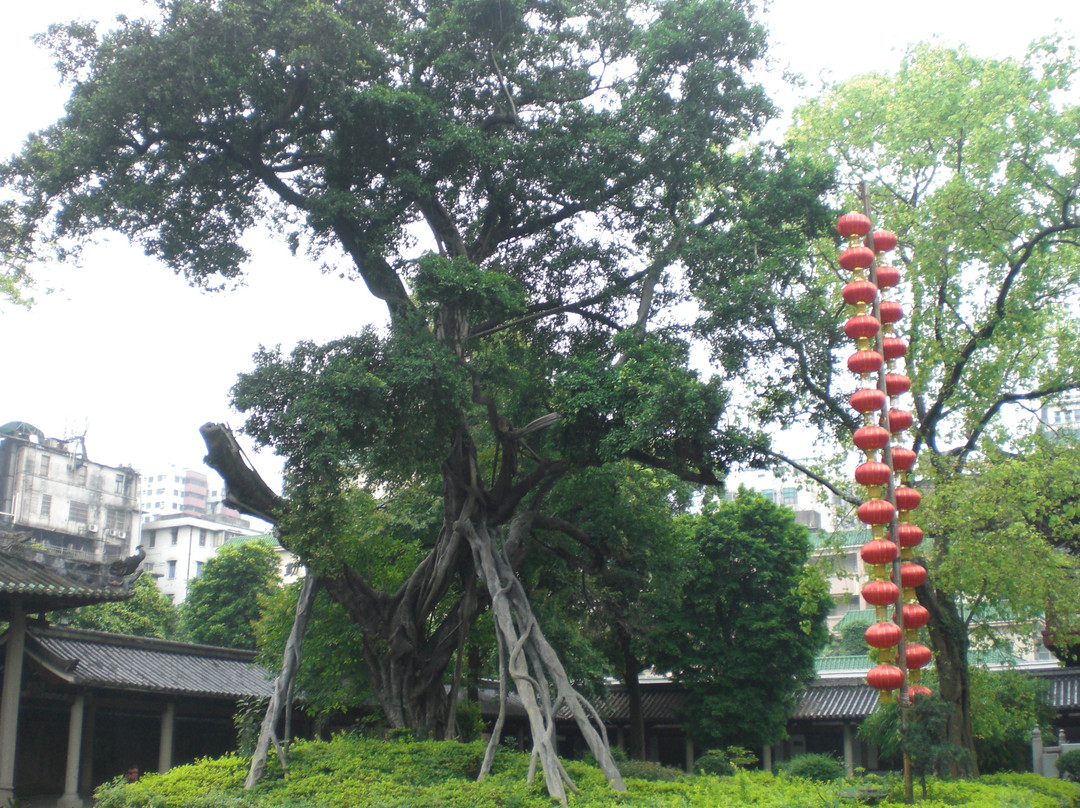光孝寺-广州市必去景点