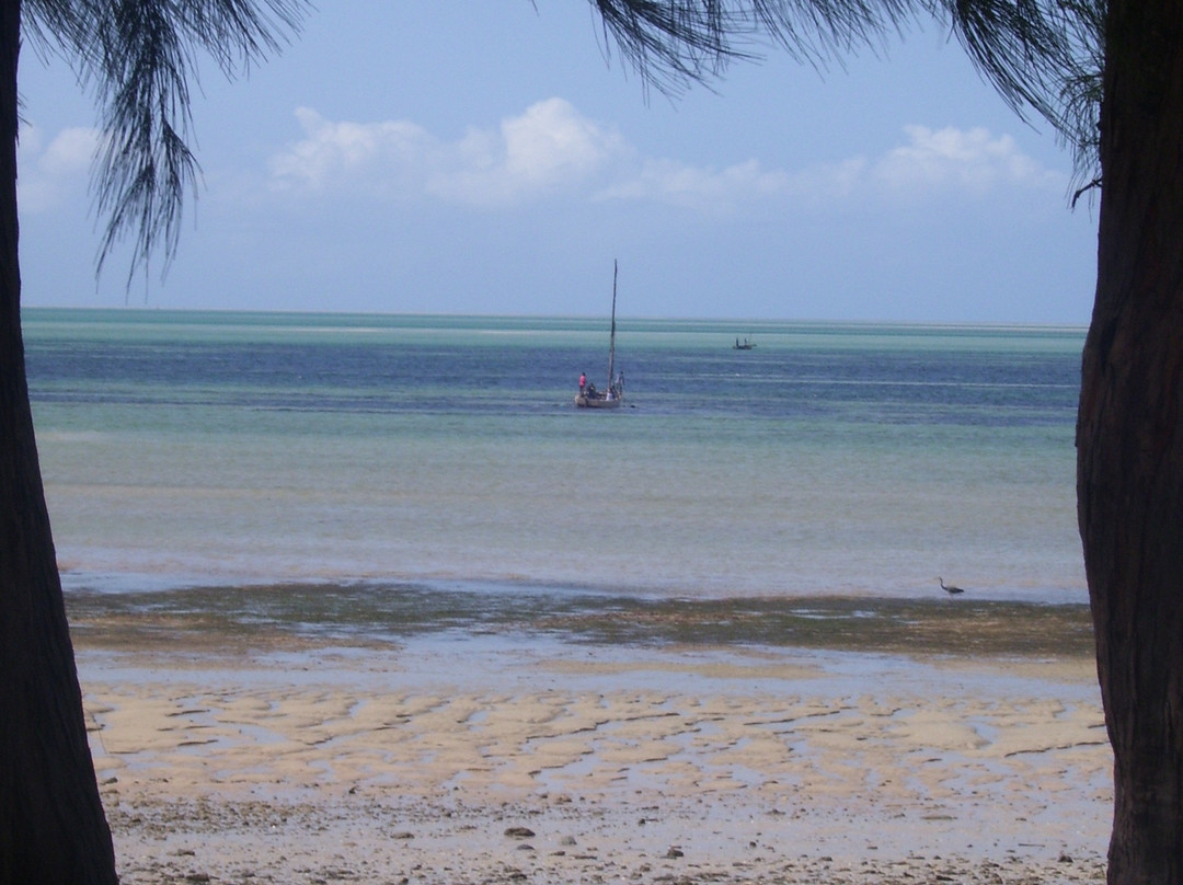 Sailaway Dhow Safaris-Vilanculos必去景点