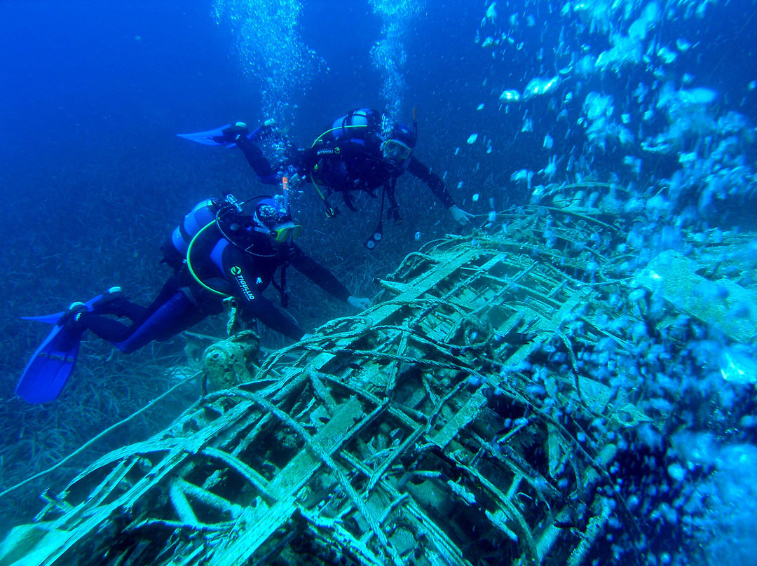 Blue Fin Divers Naxos Greece景点图片