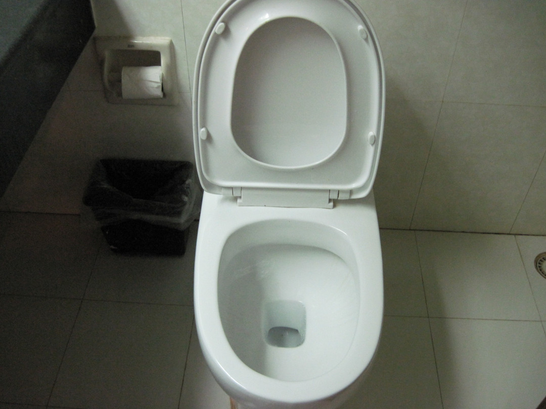 日照大酒店主图