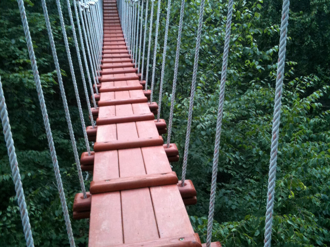 CLIMB Works Smoky Mountains-盖林柏格必去景点