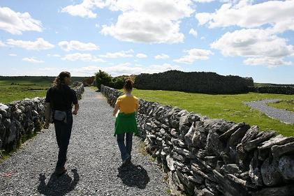 Caherconnell Stone Fort & Sheepdog Demonstrations景点图片