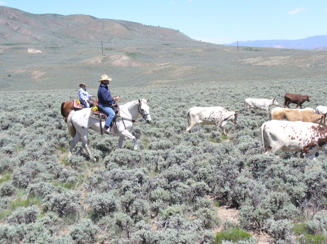 Rusty Spurr Ranch-Kremmling必去景点
