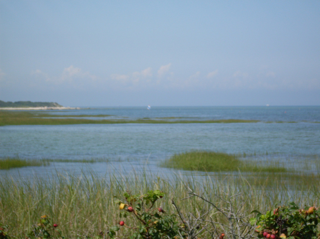 Cape Cod Museum of Natural History景点图片
