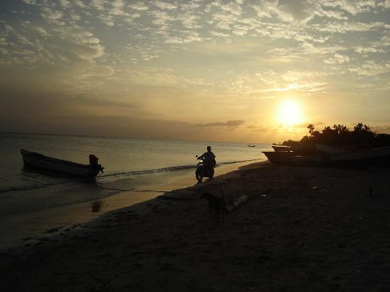 Lost Beach Resort主图