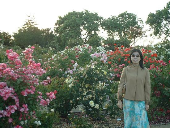 Heritage Rose Garden-圣何塞必去景点