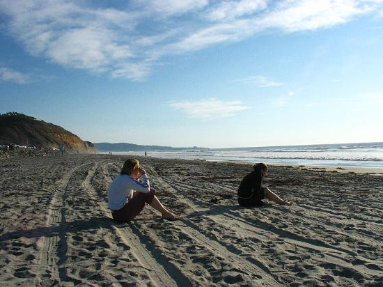 Torrey Pines State Beach-圣地亚哥必去景点