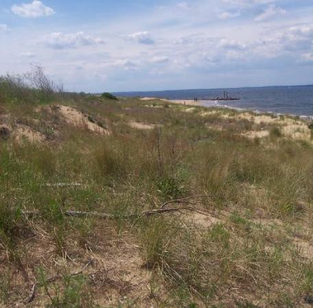 Keansburg Beach景点图片