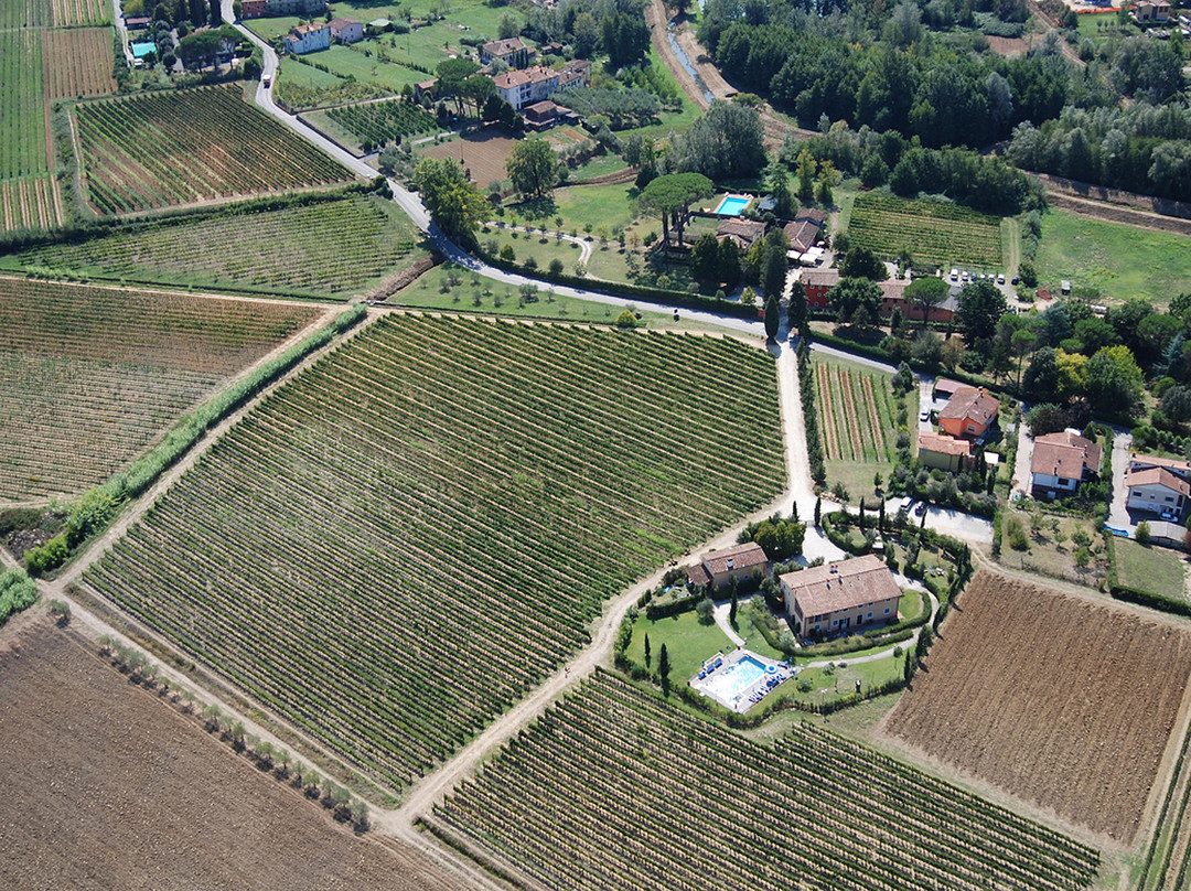 Fattoria Sardi景点图片