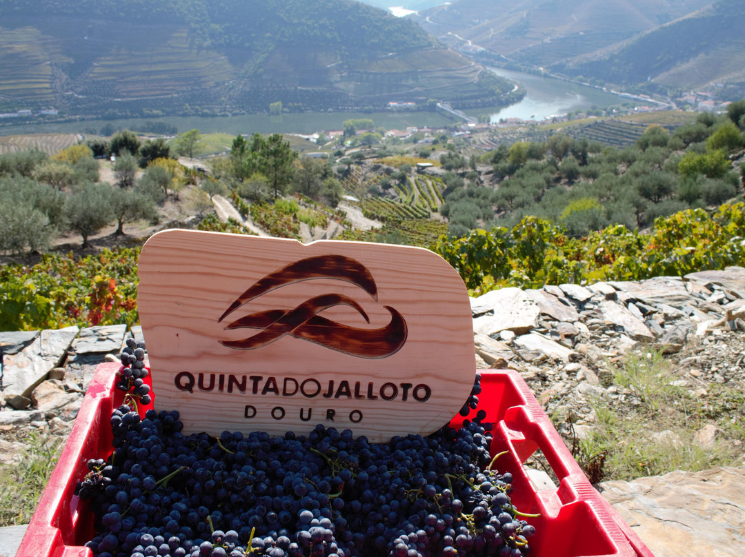 Quinta do Jalloto景点图片