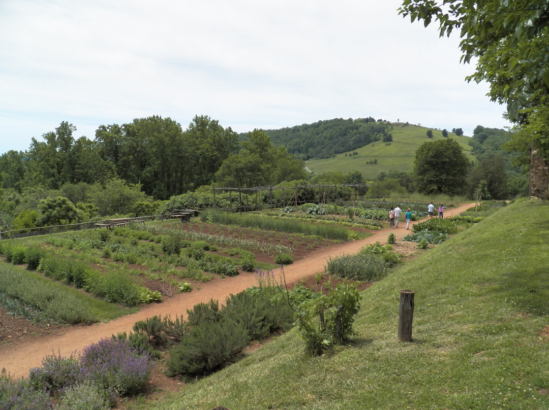 托马斯•杰斐逊纪念馆-夏洛茨维尔必去景点