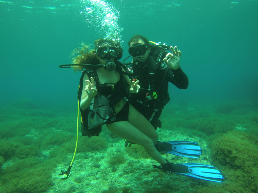 Rosa dei Venti - Diving Center-巴勒莫必去景点