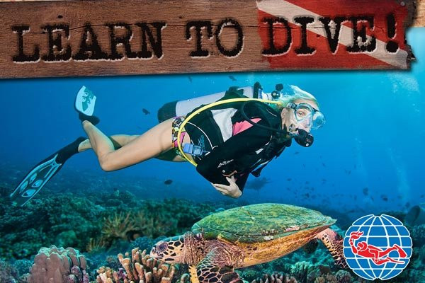 Scuba Adventure-杰佛逊市必去景点