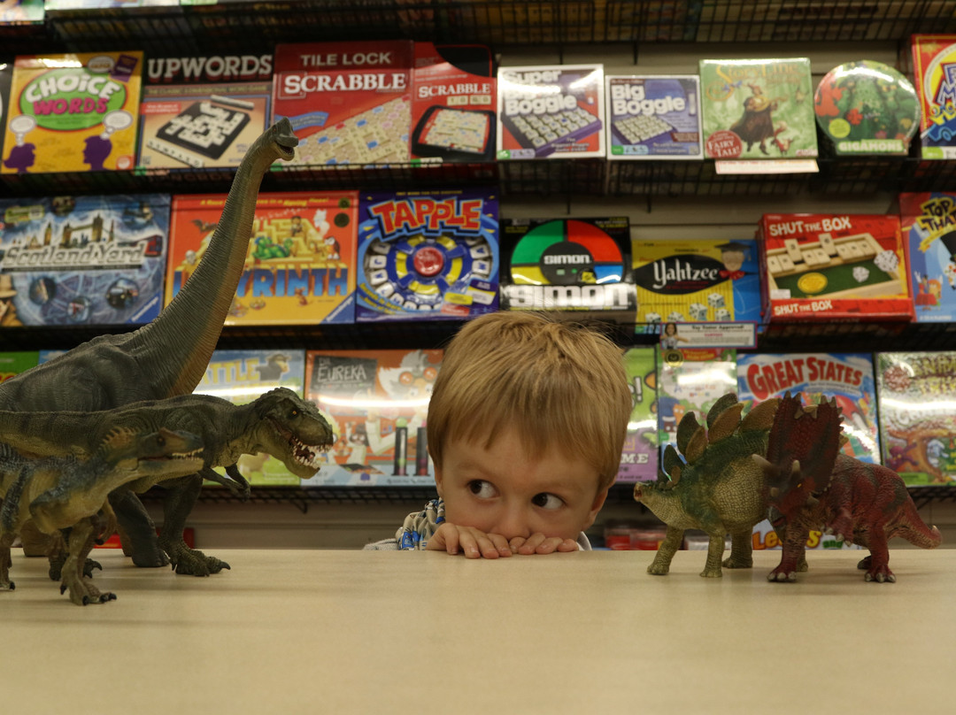 A2Z Science and Learning Toy Store-北安普敦必去景点