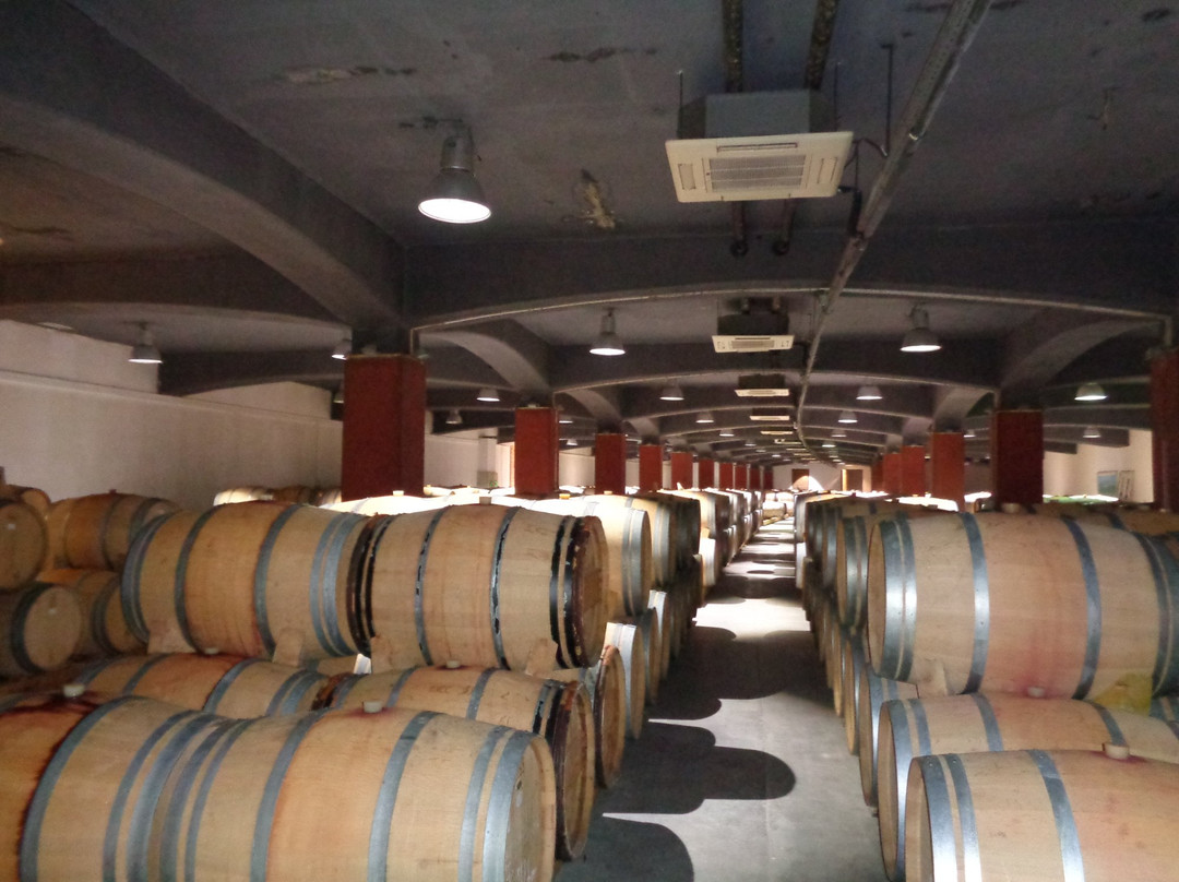 Bessa Valley Winery,景点图片