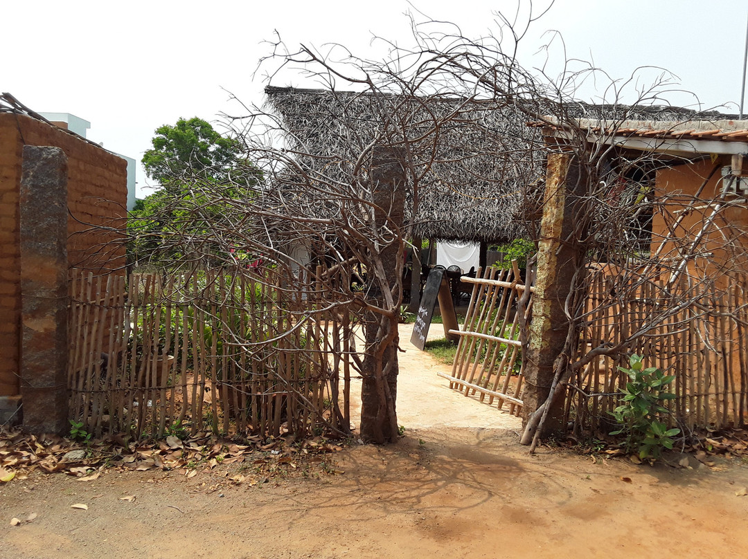 Auroville旅游攻略图片