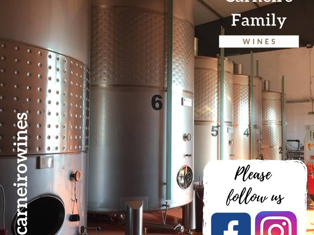 Carneiro Family Wines