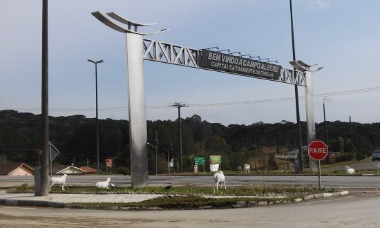 Pórtico De Campo Alegre景点图片
