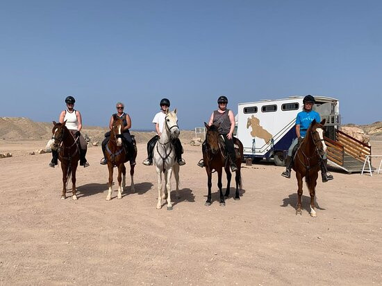 Equestrian Dream Egypt景点图片