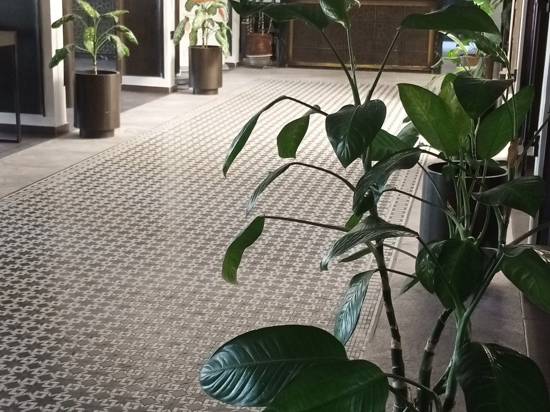 Azalaï Hôtel Nouakchott主图