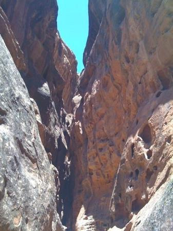 Snow Canyon State Park-犹他州必去景点
