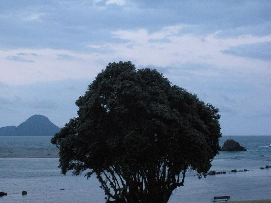 Walking Legends-罗托鲁瓦必去景点