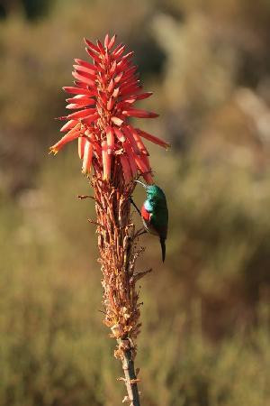 God's Window-普马兰加省必去景点