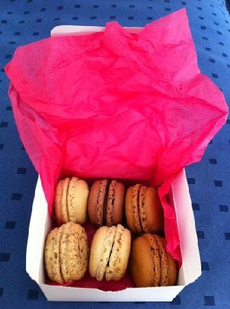 Le Macaron-萨拉索塔必去景点