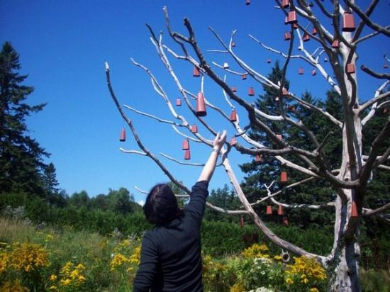 Kingsbrae Garden-Saint Andrews必去景点