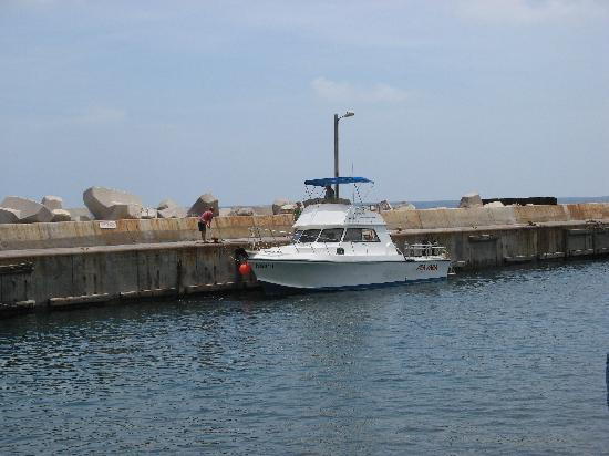 Sea Saba Dive Center-Windwardside必去景点
