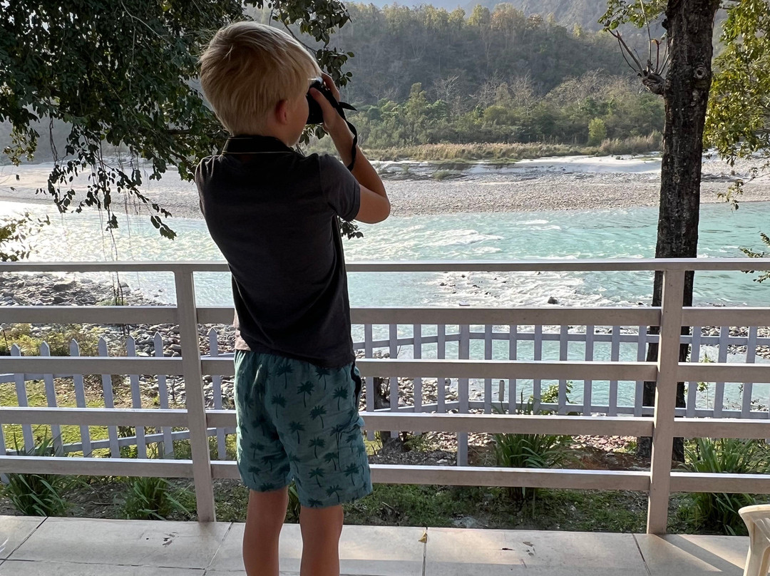 Banyan by the Ganges主图