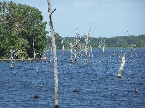 Purtis Creek State Park景点图片