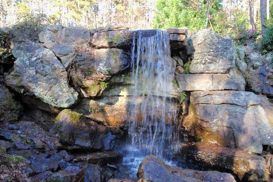 Garvan Woodland Gardens景点图片
