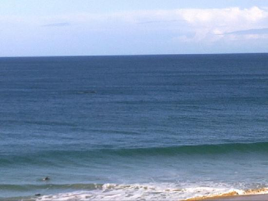 Logan's Beach-瓦南布尔必去景点