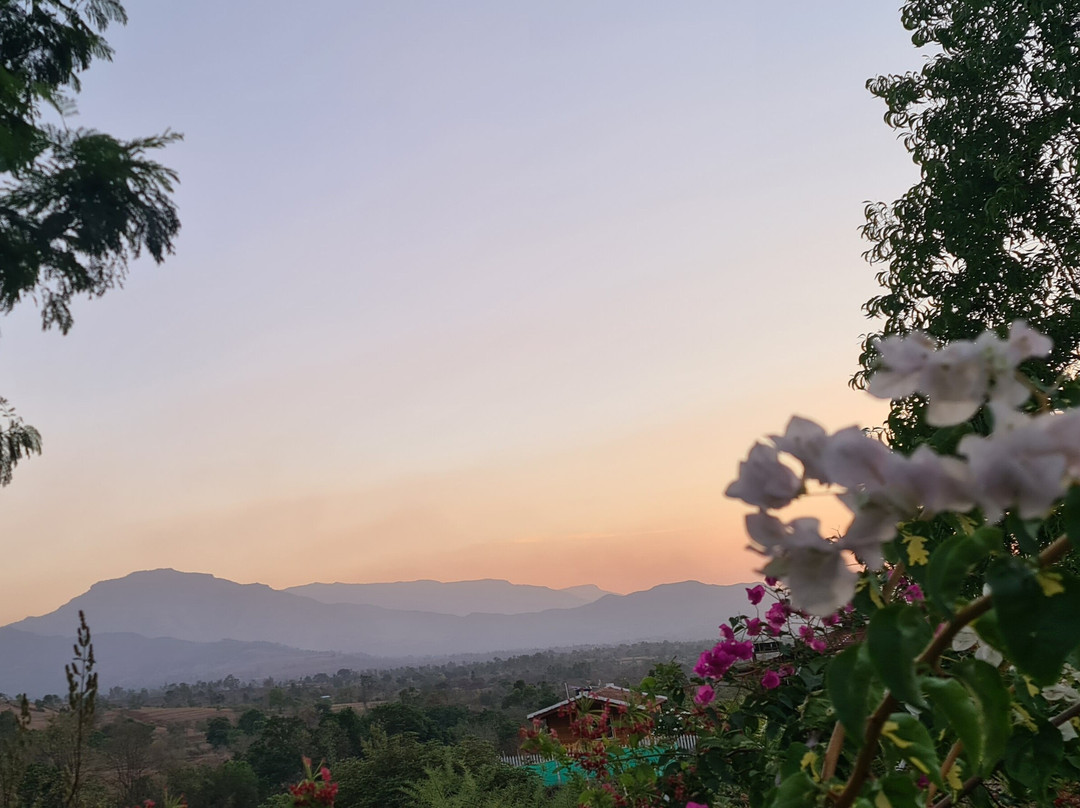 Platinum 52 Agri Tourism Resort主图