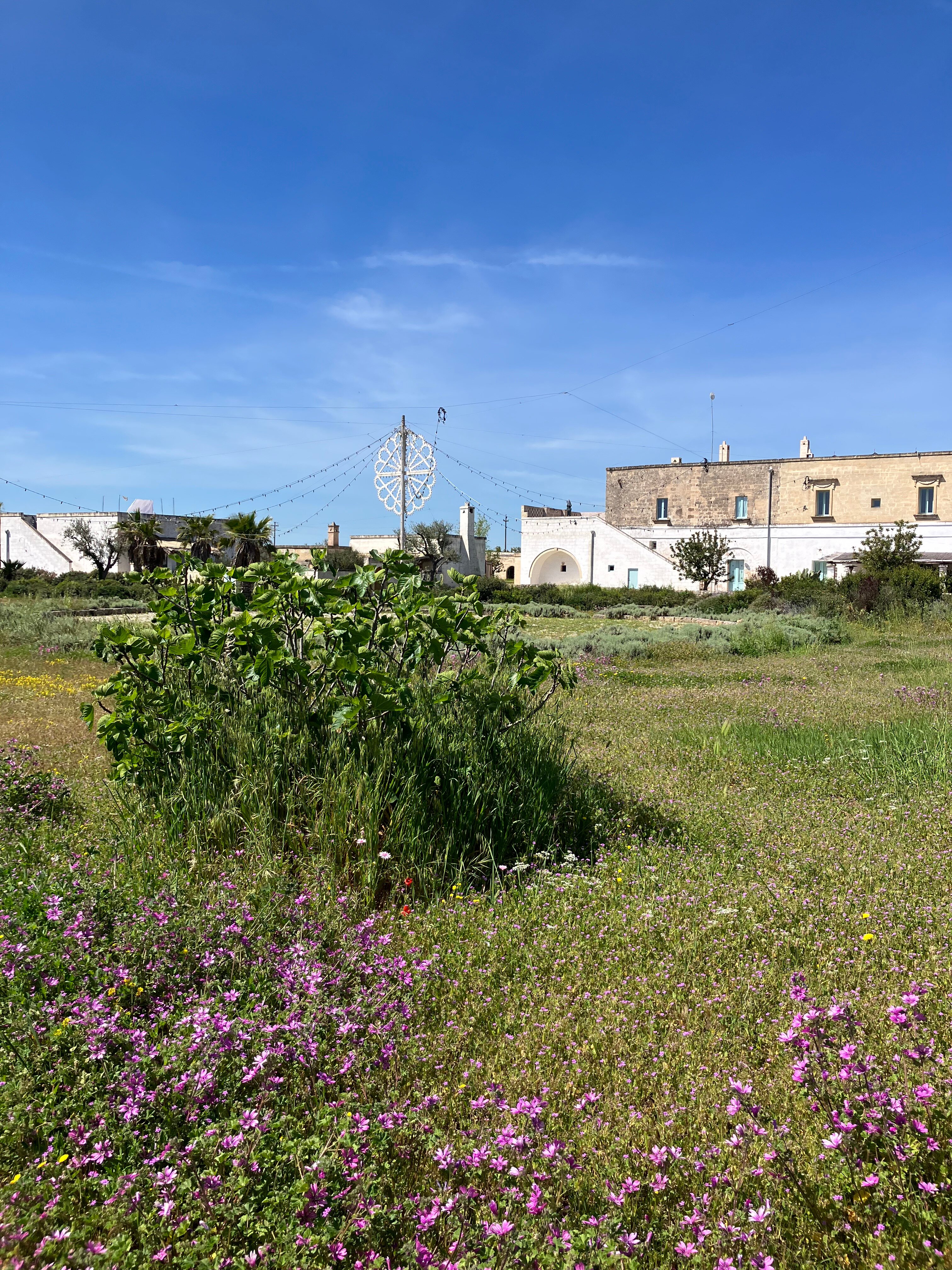 Masseria Palombara Resort & Spa-浴室