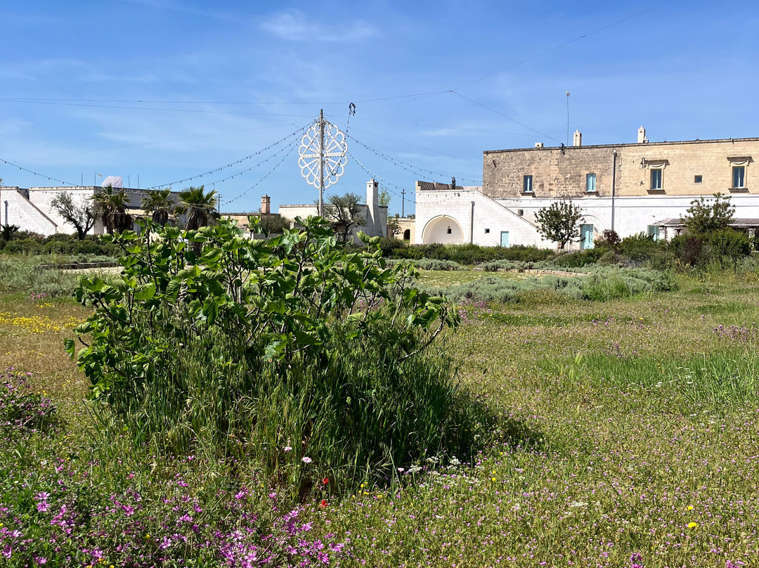 Masseria Palombara Resort & Spa主图