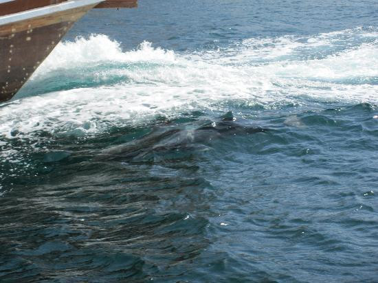 Oman Fjords-海塞卜必去景点