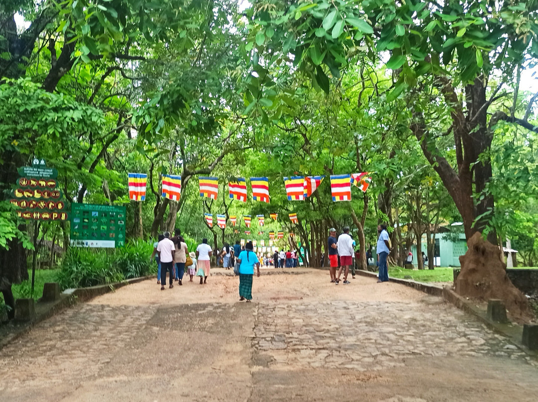 Hikkaduwa Taxi Service-希克杜沃必去景点