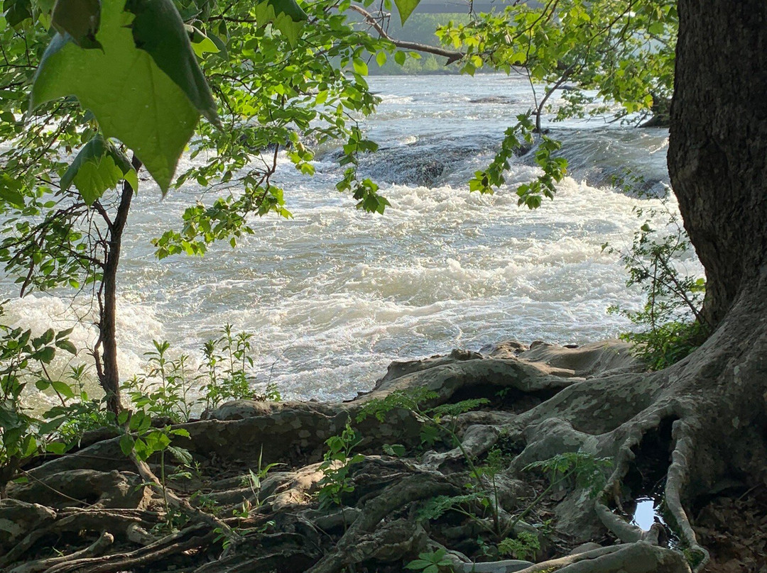 Shenandoah River Outfitters景点图片