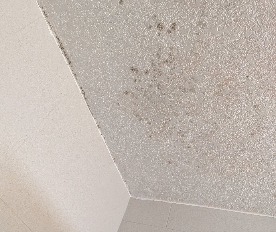 Holiday Inn Riverton - Convention Center By Ihg主图