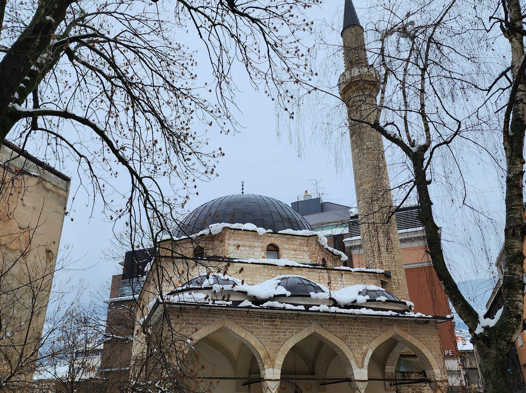 Ferhadija Mosque-萨拉热窝必去景点