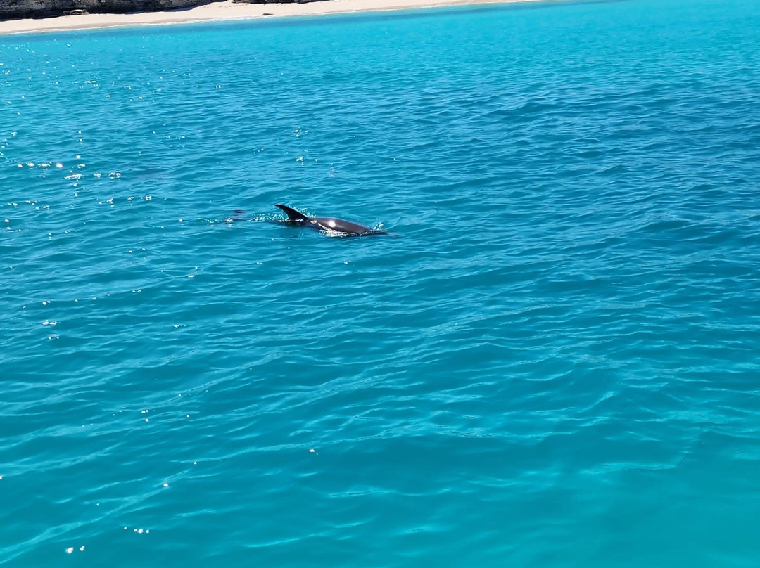 Turkoise wave adventure-格雷斯湾必去景点