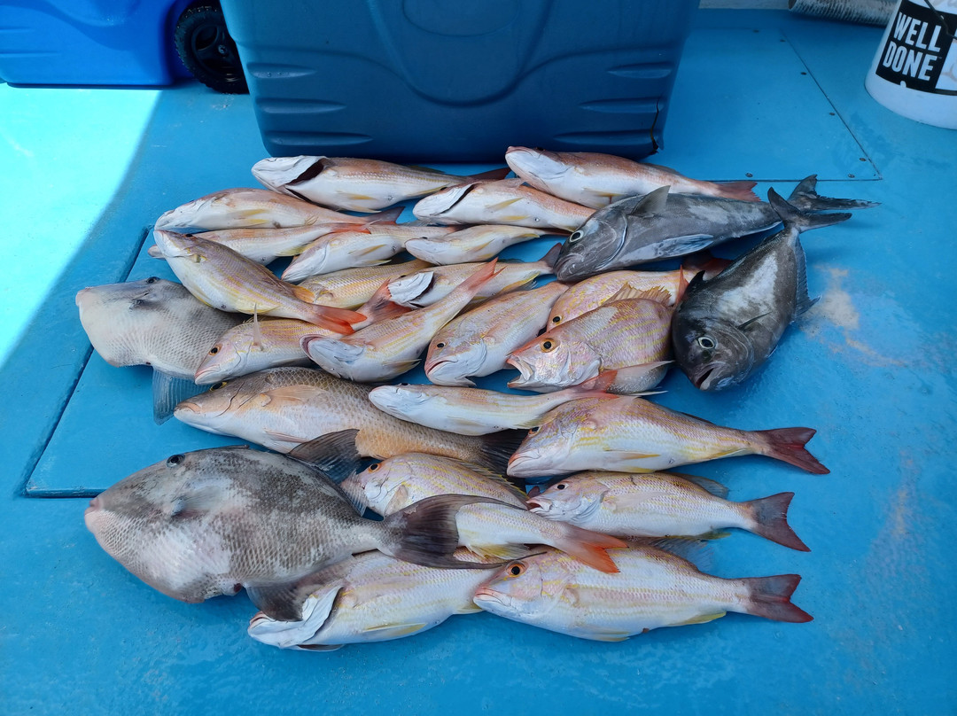 Bermuda Reef Fishing-百慕大必去景点