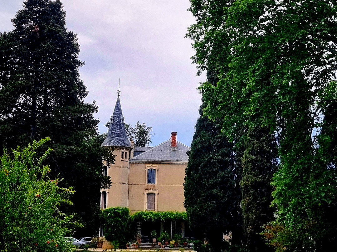 Chateau Pech-Celeyran主图