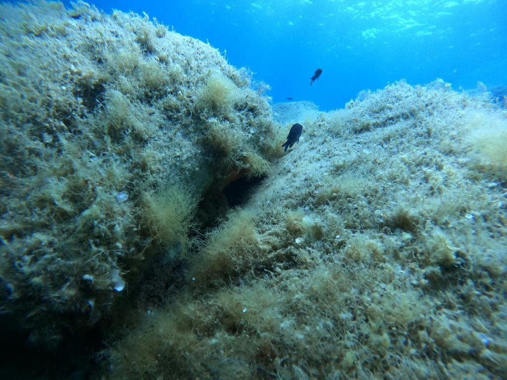 Iknòs Sardinia Sea Activities-Cannigione必去景点
