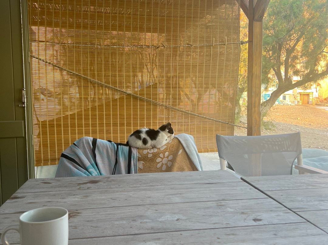 Vilos Suites Fyropotamos Beach主图