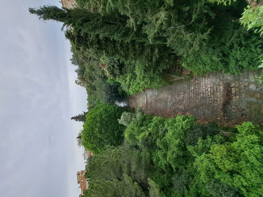 Gravina Delle Murge景点图片