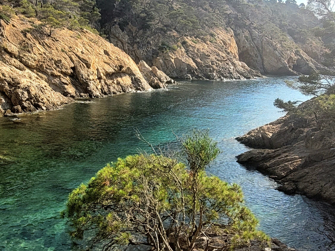 Cala Pola景点图片
