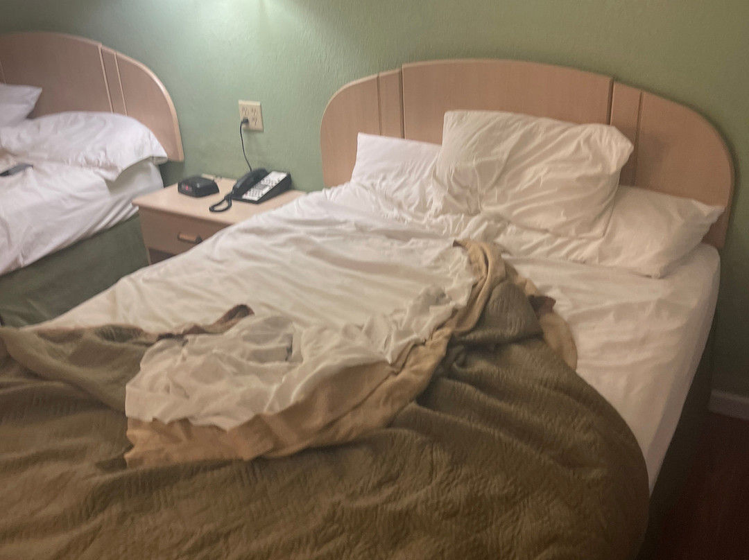 Travelodge by Wyndham Holbrook主图